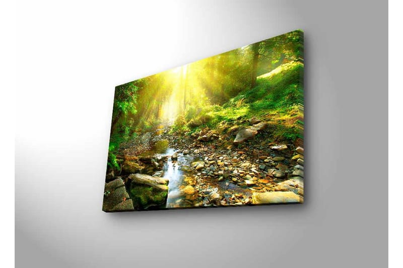 Canvastavla med LED-belysning - Solbelyst skog med en porlande bäck - Grön / Gul / Brun - Inredning & dekor - Tavlor & konst - Canvastavla