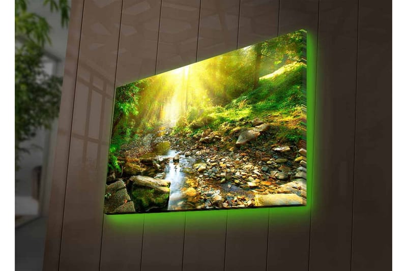 Canvastavla med LED-belysning - Solbelyst skog med en porlande bäck - Grön / Gul / Brun - Inredning & dekor - Tavlor & konst - Canvastavla