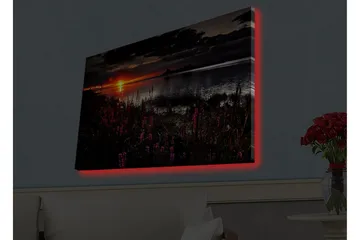 Canvastavla med LED-belysning - Solnedgång över en spegelblanka sjö med blommande växter i förgrunden - Mörkrosa / Orange / Svart - Inredning & dekor - Tavlor & konst - Canvastavla