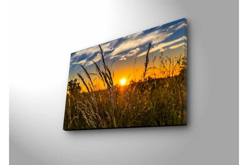 Canvastavla med LED-belysning - Solnedgång över ett fält med grässtrån i förgrunden - Guld / Orange / Blå - Inredning & dekor - Tavlor & konst - Canvastavla