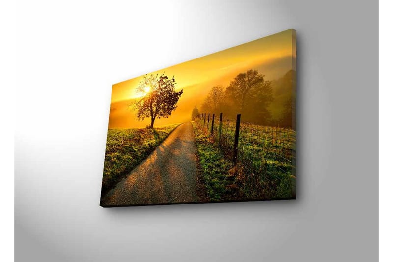 Canvastavla med LED-belysning - Soluppgång över en slingrande väg med träd och gärdesgård - Guld / Grön / Brun - Inredning & dekor - Tavlor & konst - Canvastavla