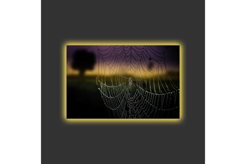 Canvastavla med LED-belysning - Spindelnät med daggdroppar i mjukt ljus - Svart / Grå / Guld - Inredning & dekor - Tavlor & konst - Canvastavla