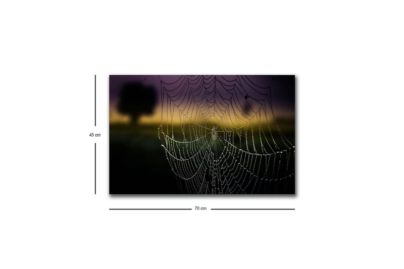 Canvastavla med LED-belysning - Spindelnät med daggdroppar i mjukt ljus - Svart / Grå / Guld - Inredning & dekor - Tavlor & konst - Canvastavla