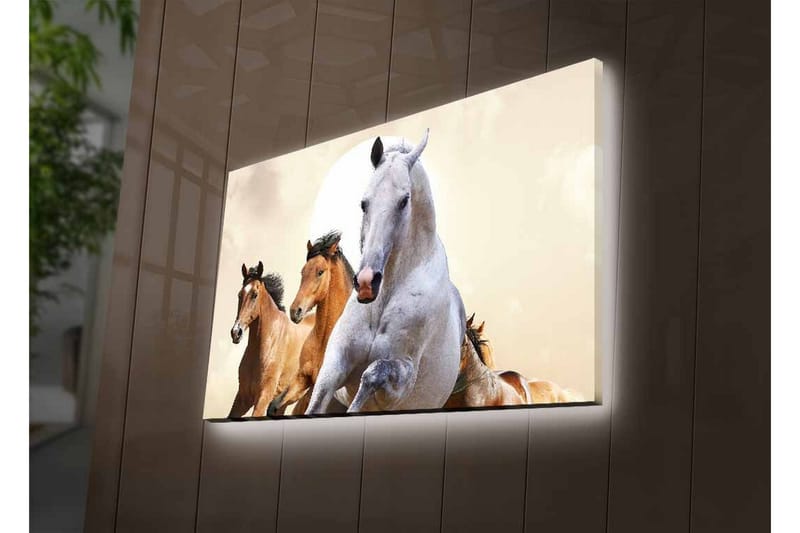 Canvastavla med LED-belysning - Springande hästar i en dynamisk komposition - Vit / Brun / Beige - Inredning & dekor - Tavlor & konst - Canvastavla