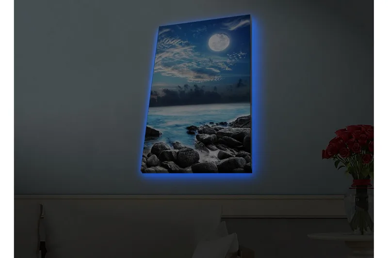 Canvastavla med LED-belysning - Stämningsfull havslandskap med måne och klippor, Blå / Grå / Vit