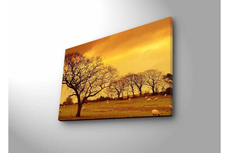 Canvastavla med LED-belysning - Stämningsfull landskapsvy med siluetter av träd mot en gyllene himmel - Guld / Brun / Svart - Inredning & dekor - Tavlor & konst - Canvastavla
