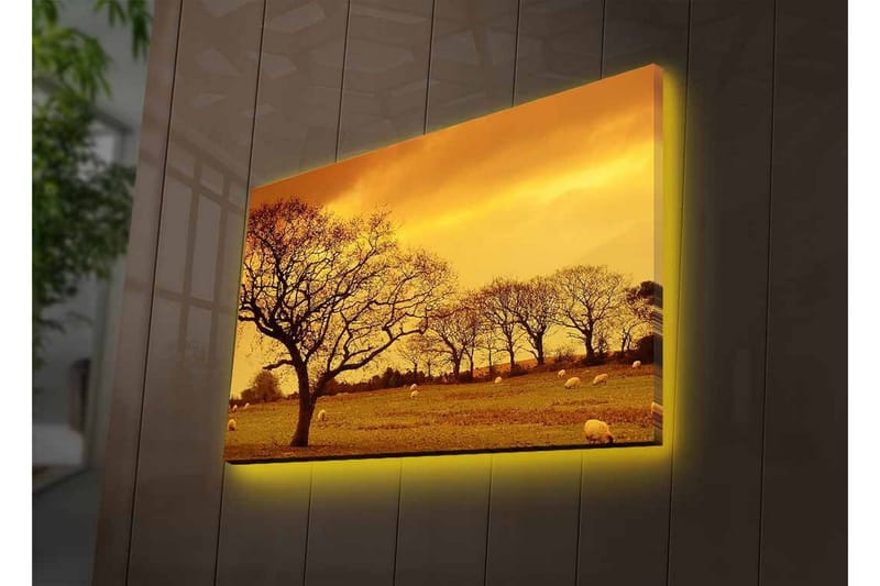 Canvastavla med LED-belysning - Stämningsfull landskapsvy med siluetter av träd mot en gyllene himmel - Guld / Brun / Svart - Inredning & dekor - Tavlor & konst - Canvastavla