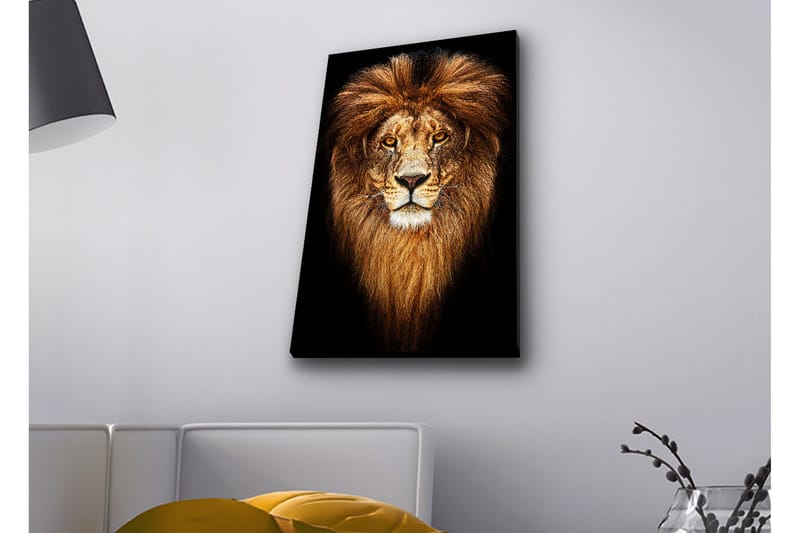 Canvastavla med LED-belysning - Ståtlig lejonhuvud med majestätisk man - Guld / Svart / Brun - Inredning & dekor - Tavlor & konst - Canvastavla