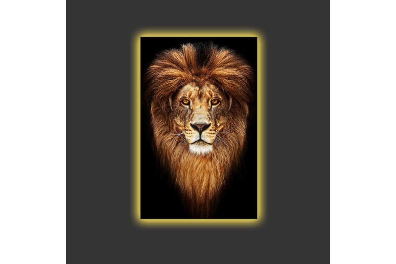 Canvastavla med LED-belysning - Ståtlig lejonhuvud med majestätisk man - Guld / Svart / Brun - Inredning & dekor - Tavlor & konst - Canvastavla