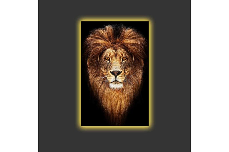 Canvastavla med LED-belysning - Ståtlig lejonhuvud med majestätisk man - Guld / Svart / Brun - Inredning & dekor - Tavlor & konst - Canvastavla