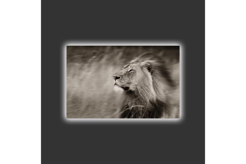 Canvastavla med LED-belysning - Ståtlig lejonprofil i svartvitt - Svart / Grå - Inredning & dekor - Tavlor & konst - Canvastavla