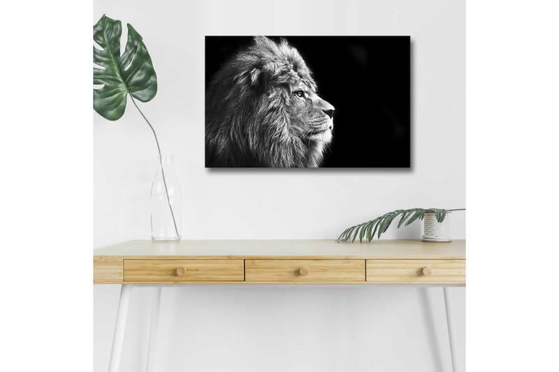Canvastavla med LED-belysning - Ståtlig lejonprofil i svartvitt - Svart / Grå - Inredning & dekor - Tavlor & konst - Canvastavla