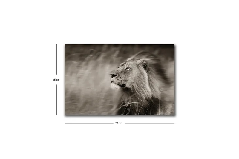 Canvastavla med LED-belysning - Ståtlig lejonprofil i svartvitt - Svart / Grå - Inredning & dekor - Tavlor & konst - Canvastavla
