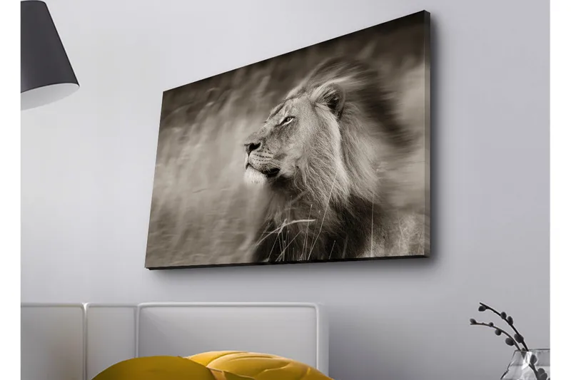 Canvastavla med LED-belysning - Ståtlig lejonprofil i svartvitt - Svart / Grå - Inredning & dekor - Tavlor & konst - Canvastavla