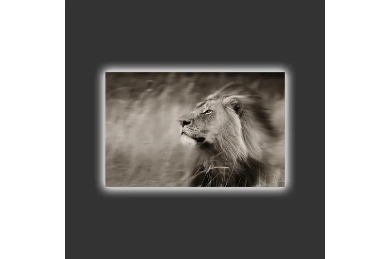 Canvastavla med LED-belysning - Ståtlig lejonprofil i svartvitt - Svart / Grå - Inredning & dekor - Tavlor & konst - Canvastavla