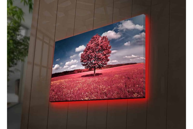 Canvastavla med LED-belysning - Ståtligt rosa träd på en färgglad äng - Rosa / Grön / Blå - Inredning & dekor - Tavlor & konst - Canvastavla