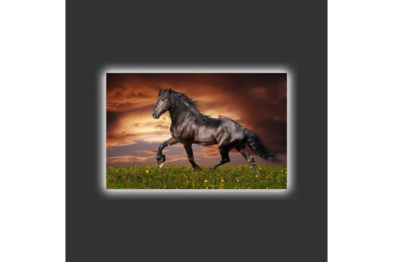 Canvastavla med LED-belysning - Stolt svart häst som galopperar över en grön äng - Svart / Grön / Orange - Inredning & dekor - Tavlor & konst - Canvastavla