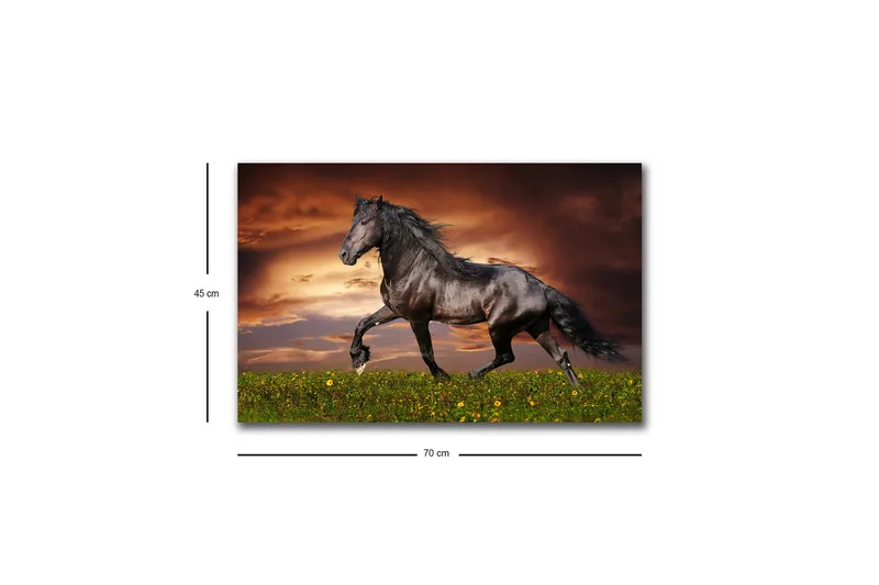Canvastavla med LED-belysning - Stolt svart häst som galopperar över en grön äng - Svart / Grön / Orange - Inredning & dekor - Tavlor & konst - Canvastavla