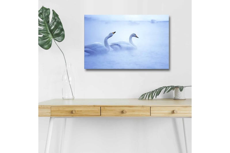 Canvastavla med LED-belysning - Svansar simmande i dimmig vattenmiljö, Ljusblå / Vit