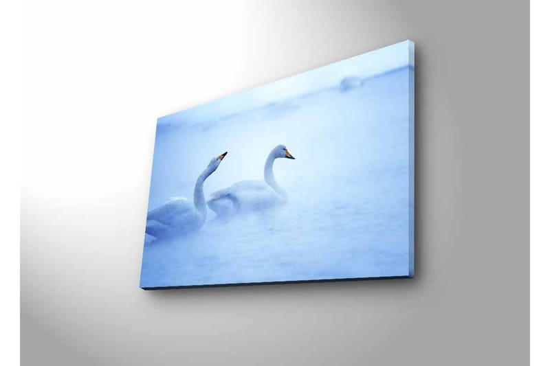 Canvastavla med LED-belysning - Svansar simmande i dimmig vattenmiljö - Ljusblå / Vit - Inredning & dekor - Tavlor & konst - Canvastavla