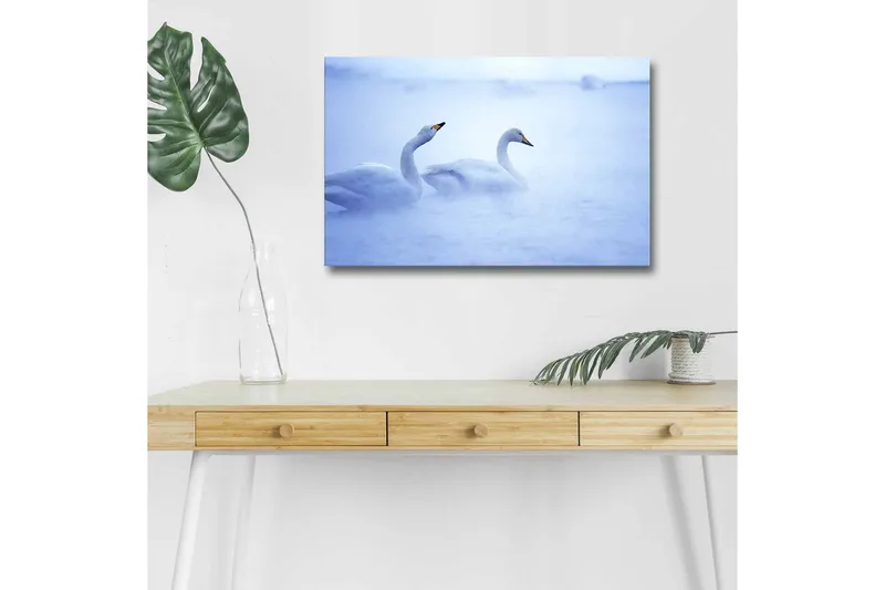 Canvastavla med LED-belysning - Svansar simmande i dimmig vattenmiljö, Ljusblå / Vit