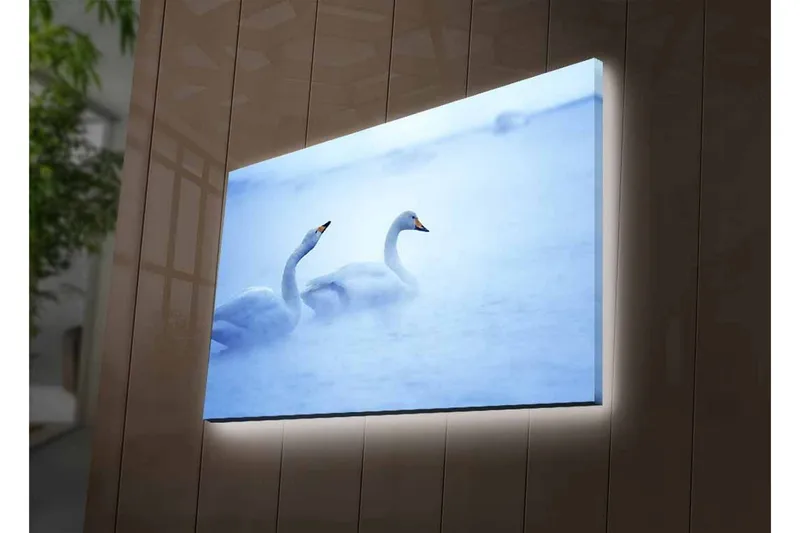 Canvastavla med LED-belysning - Svansar simmande i dimmig vattenmiljö - Ljusblå / Vit - Inredning & dekor - Tavlor & konst - Canvastavla