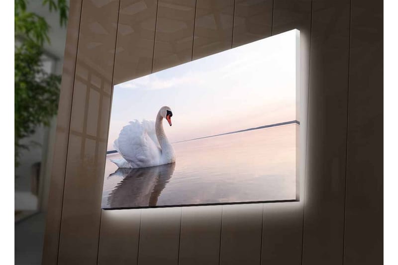 Canvastavla med LED-belysning - Svart svan som simmar i stilla vatten - Vit / Grå / Ljusblå - Inredning & dekor - Tavlor & konst - Canvastavla