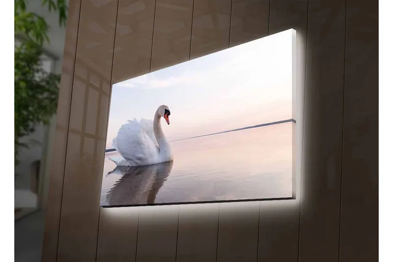 Canvastavla med LED-belysning - Svart svan som simmar i stilla vatten - Vit / Grå / Ljusblå - Inredning & dekor - Tavlor & konst - Canvastavla