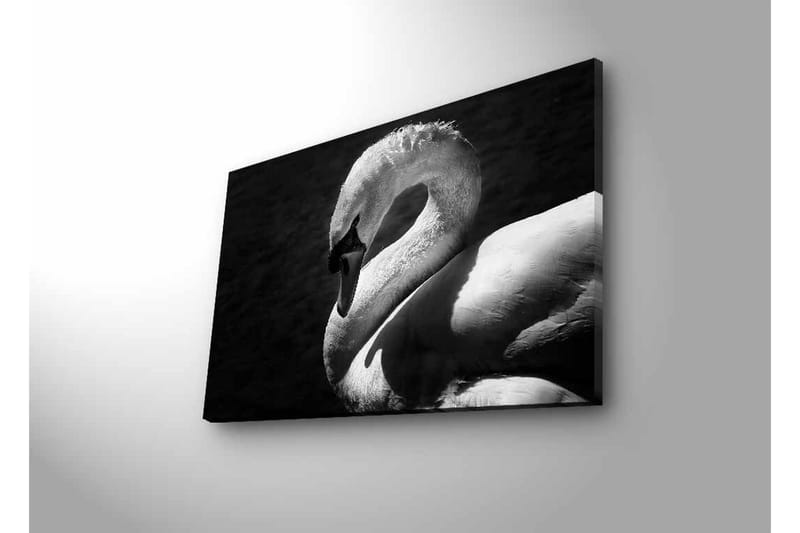 Canvastavla med LED-belysning - Svartvit svan i elegant pose - Svart / Vit - Inredning & dekor - Tavlor & konst - Canvastavla