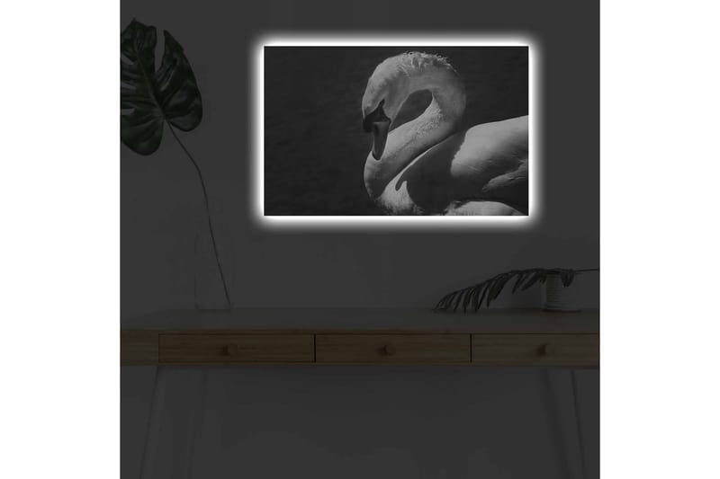 Canvastavla med LED-belysning - Svartvit svan i elegant pose - Svart / Vit - Inredning & dekor - Tavlor & konst - Canvastavla
