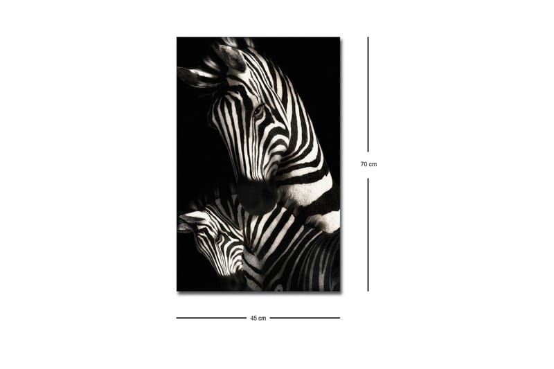 Canvastavla med LED-belysning - Svartvita zebror med distinkta ränder - Svart / Vit - Inredning & dekor - Tavlor & konst - Canvastavla
