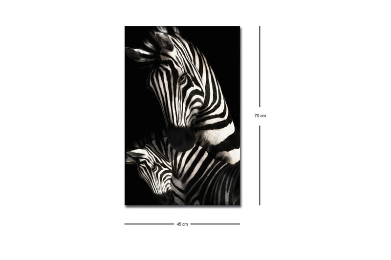 Canvastavla med LED-belysning - Svartvita zebror med distinkta ränder - Svart / Vit - Inredning & dekor - Tavlor & konst - Canvastavla