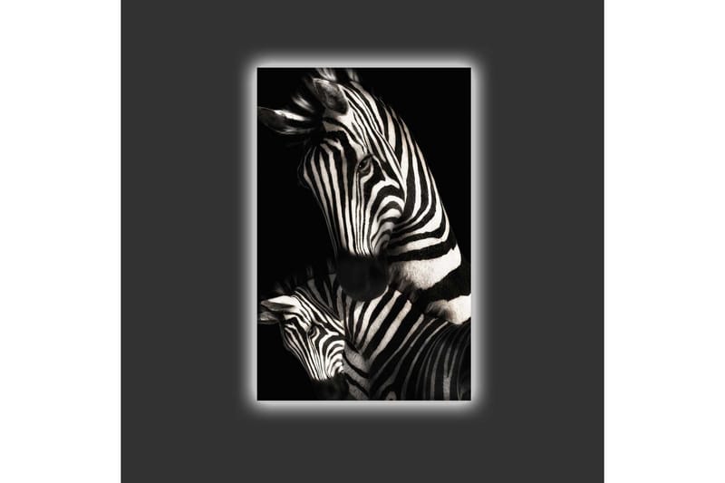 Canvastavla med LED-belysning - Svartvita zebror med distinkta ränder - Svart / Vit - Inredning & dekor - Tavlor & konst - Canvastavla