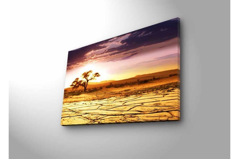 Canvastavla med LED-belysning - Torkad landskap med en ensam akaciaträd vid solnedgången - Guld / Lila / Orange - Inredning & dekor - Tavlor & konst - Canvastavla