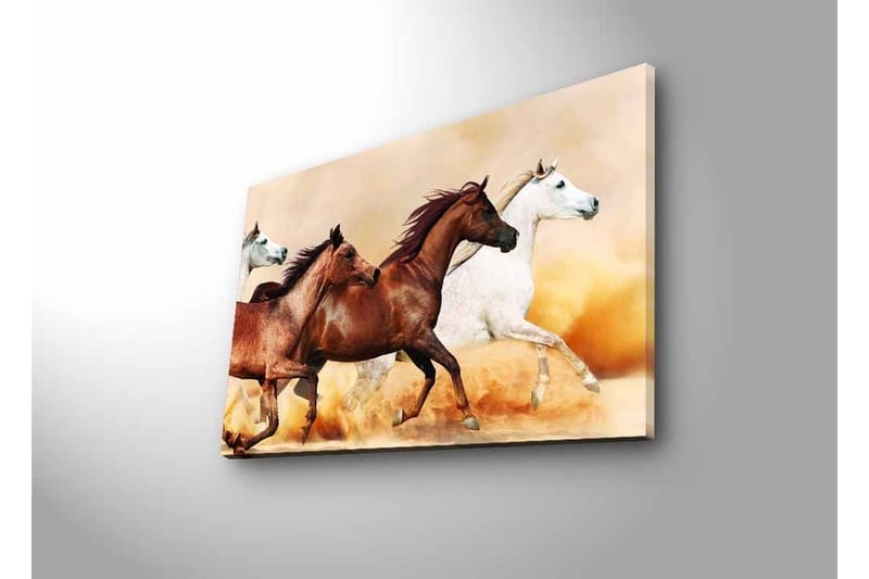 Canvastavla med LED-belysning - Tre hästar i rörelse över en sandig yta - Brun / Vit / Beige - Inredning & dekor - Tavlor & konst - Canvastavla