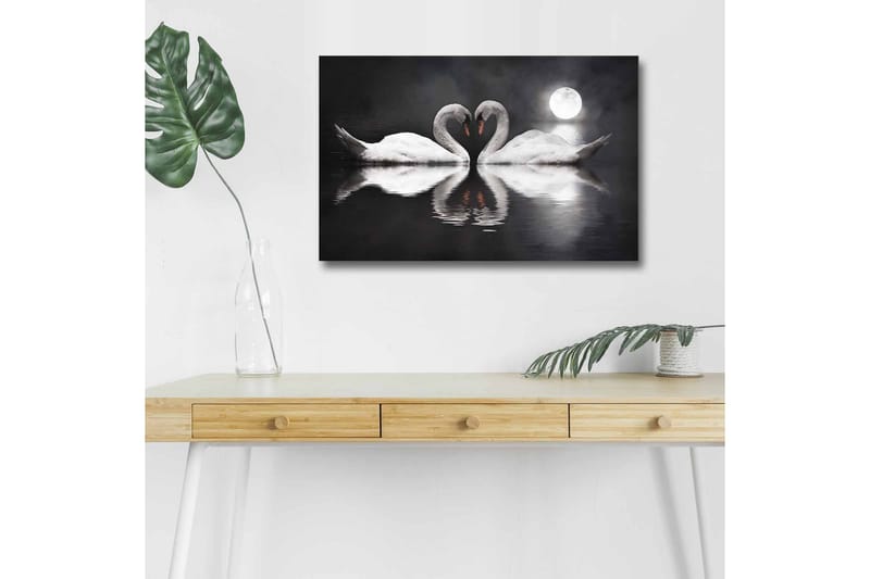Canvastavla med LED-belysning - Två svanar som formar ett hjärta i en spegelblanka sjö under en måne, Vit / Svart / Grå