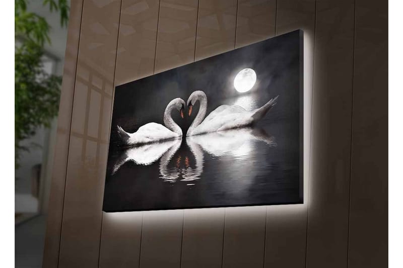 Canvastavla med LED-belysning - Två svanar som formar ett hjärta i en spegelblanka sjö under en måne - Vit / Svart / Grå - Inredning & dekor - Tavlor & konst - Canvastavla