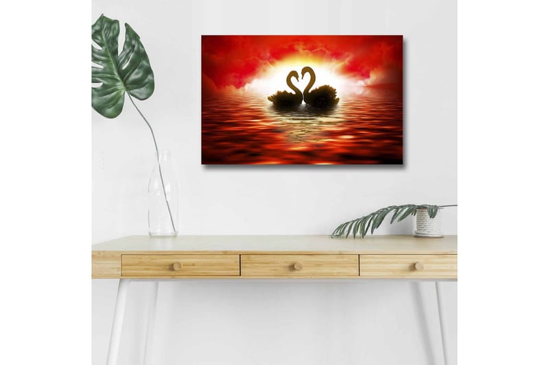 Canvastavla med LED-belysning - Två svanar som formar ett hjärta mot en dramatisk solnedgång, Röd / Svart / Orange