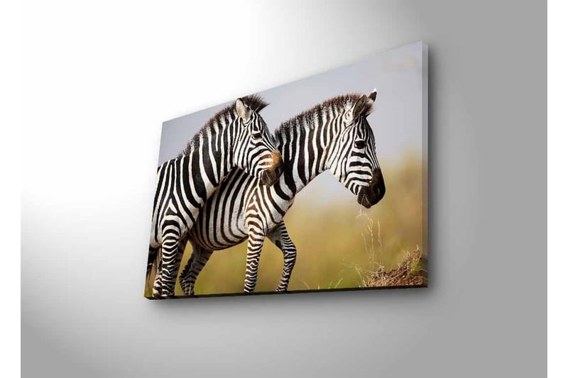 Canvastavla med LED-belysning - Två zebror som står nära varandra i en naturlig miljö - Svart / Vit / Beige - Inredning & dekor - Tavlor & konst - Canvastavla