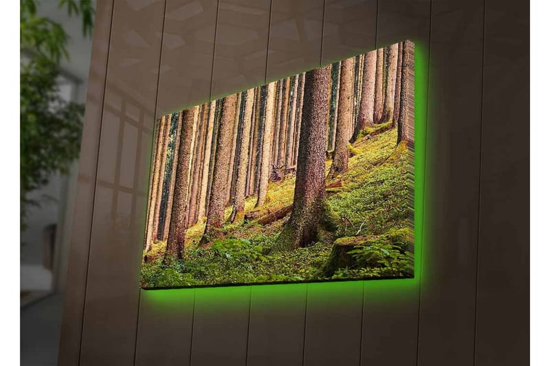 Canvastavla med LED-belysning - Tyst skog med höga träd och frodig grönska - Grön / Brun / Beige - Inredning & dekor - Tavlor & konst - Canvastavla