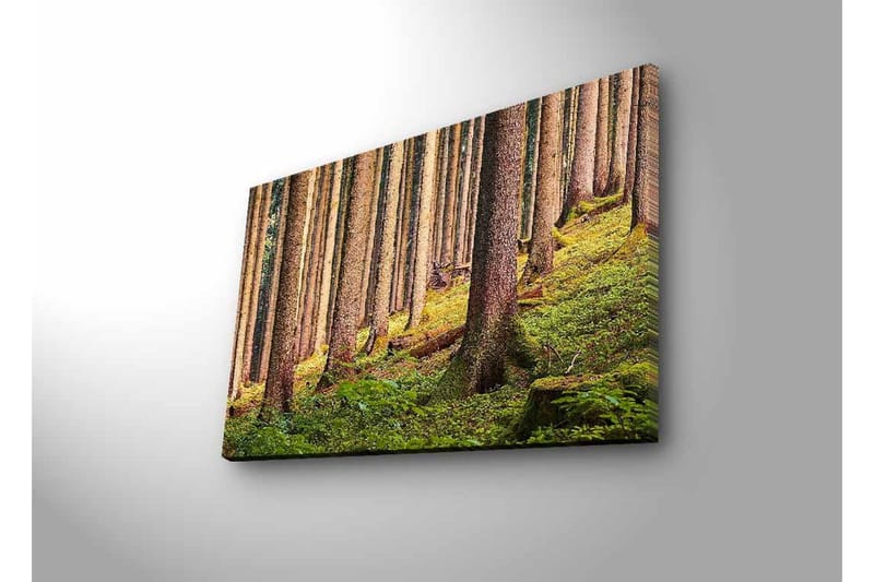 Canvastavla med LED-belysning - Tyst skog med höga träd och frodig grönska - Grön / Brun / Beige - Inredning & dekor - Tavlor & konst - Canvastavla