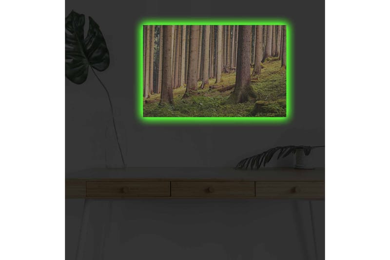 Canvastavla med LED-belysning - Tyst skog med höga träd och frodig grönska - Grön / Brun / Beige - Inredning & dekor - Tavlor & konst - Canvastavla