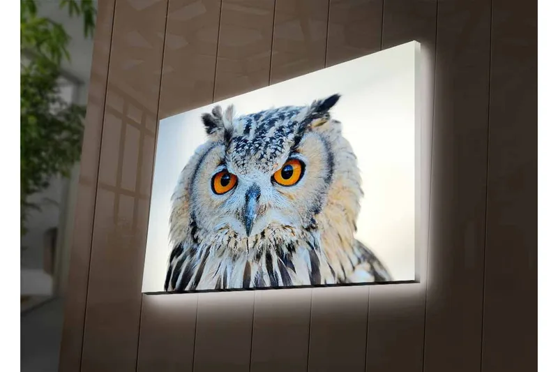 Canvastavla med LED-belysning - Uggla med intensiva ögon och detaljerad fjäderdräkt - Grå / Orange / Vit - Inredning & dekor - Tavlor & konst - Canvastavla