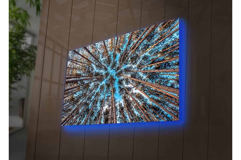 Canvastavla med LED-belysning - Utsikt uppåt genom trädtoppar i en skog - Blå / Brun / Grön - Inredning & dekor - Tavlor & konst - Canvastavla