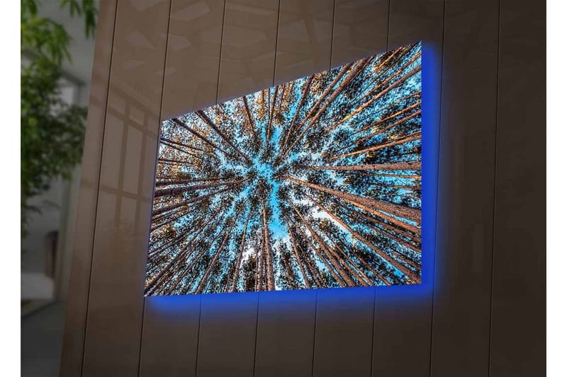 Canvastavla med LED-belysning - Utsikt uppåt genom trädtoppar i en skog - Blå / Brun / Grön - Inredning & dekor - Tavlor & konst - Canvastavla