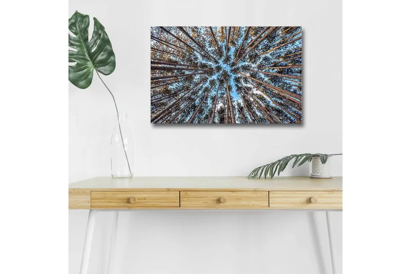 Canvastavla med LED-belysning - Utsikt uppåt genom trädtoppar i en skog - Blå / Brun / Grön - Inredning & dekor - Tavlor & konst - Canvastavla