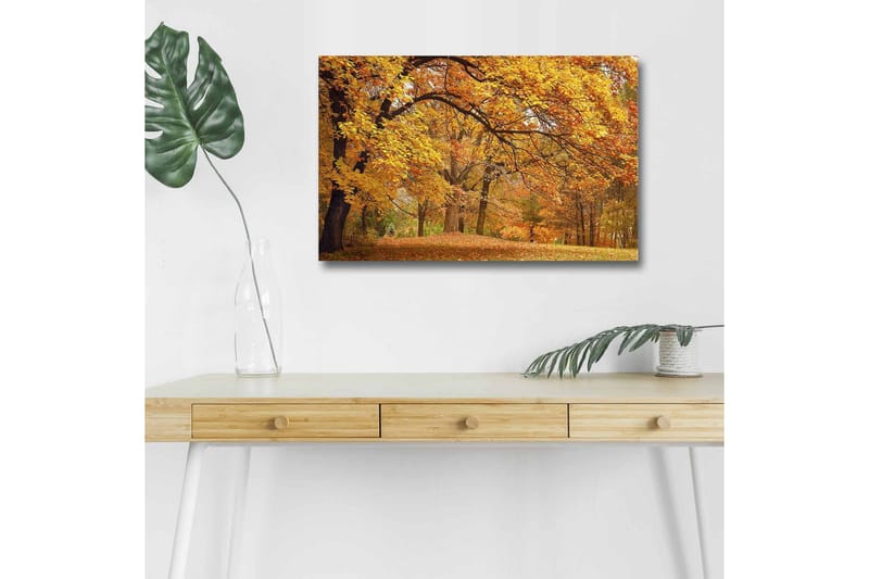 Canvastavla med LED-belysning - Vacker höstlandskap med gyllene och orangea lövträd - Guld / Orange / Brun - Inredning & dekor - Tavlor & konst - Canvastavla