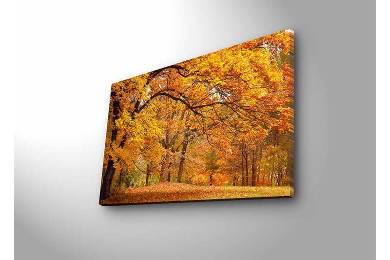 Canvastavla med LED-belysning - Vacker höstlandskap med gyllene och orangea lövträd - Guld / Orange / Brun - Inredning & dekor - Tavlor & konst - Canvastavla