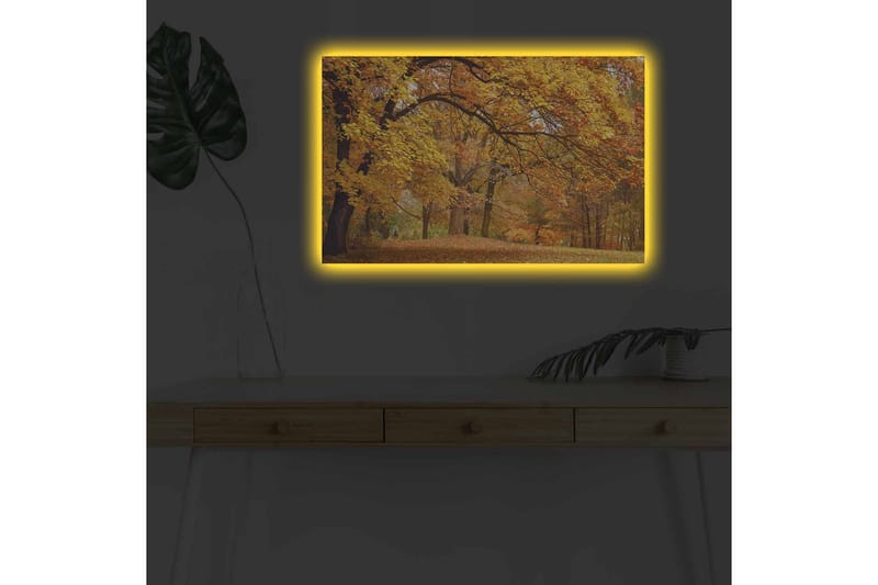 Canvastavla med LED-belysning - Vacker höstlandskap med gyllene och orangea lövträd - Guld / Orange / Brun - Inredning & dekor - Tavlor & konst - Canvastavla