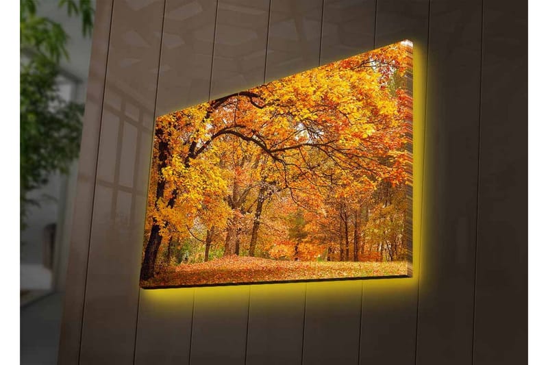 Canvastavla med LED-belysning - Vacker höstlandskap med gyllene och orangea lövträd - Guld / Orange / Brun - Inredning & dekor - Tavlor & konst - Canvastavla